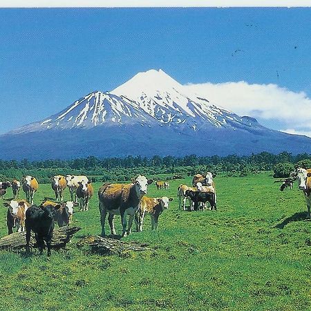 Wheatly Downs Farmstay And Backpackers Hawera Esterno foto